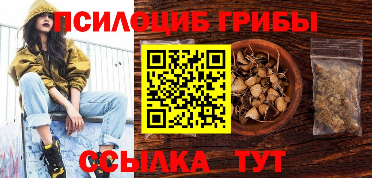 Миллерово  Псилоцибиновые грибы MAGIC MUSHROOMS  Вход с VPN 
