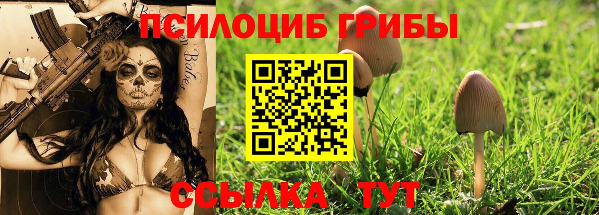 Галлюциногенные грибы мухоморы Миллерово
